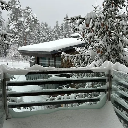 Silent Retreat At Euphoria Club And Borovets