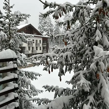 Silent Retreat At Euphoria Club And Appartement *